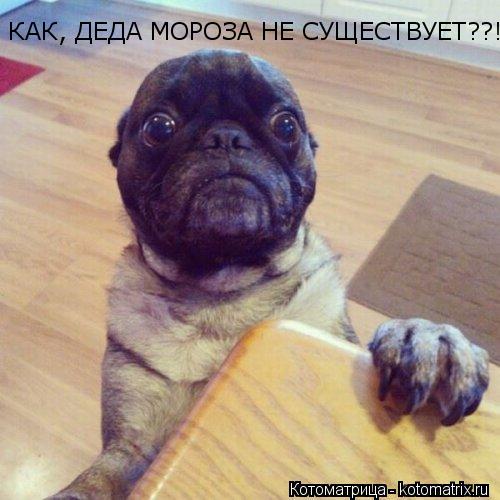 КАК, ДЕДА МОРОЗА НЕ СУЩЕСТВУЕТ??!!!!!!... Котоматрица: КАК, ДЕДА МОРОЗА НЕ СУЩЕСТВУЕТ??!!!!!!