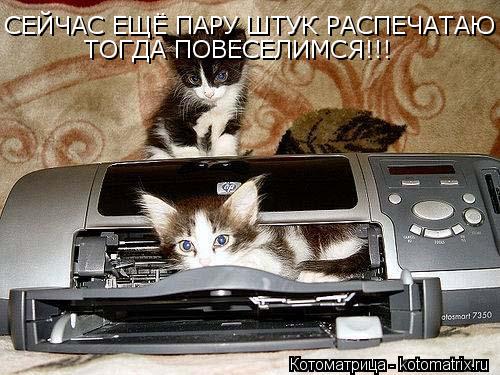 СЕЙЧАС ЕЩЁ ПАРУ ШТУК РАСПЕЧАТАЮ ТОГДА ПОВЕСЕЛИМСЯ!!!... Котоматрица: СЕЙЧАС ЕЩЁ ПАРУ ШТУК РАСПЕЧАТАЮ ТОГДА ПОВЕСЕЛИМСЯ!!!