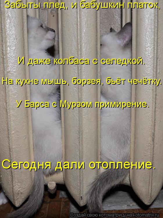 Котоматрица: Забыты плед, и бабушкин платок,  И даже колбаса с селедкой. На кухне мышь, борзея, бьёт чечётку. У Барса с Мурзом примирение. Сегодня дали отоп