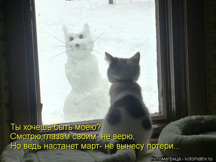 Ты хочешь быть моею? Смотрю,глазам своим не верю, Но ведь настанет март- не вынесу потери...... Котоматрица: Ты хочешь быть моею? Смотрю,глазам своим не верю, Но ведь настанет март- не вынесу потери...