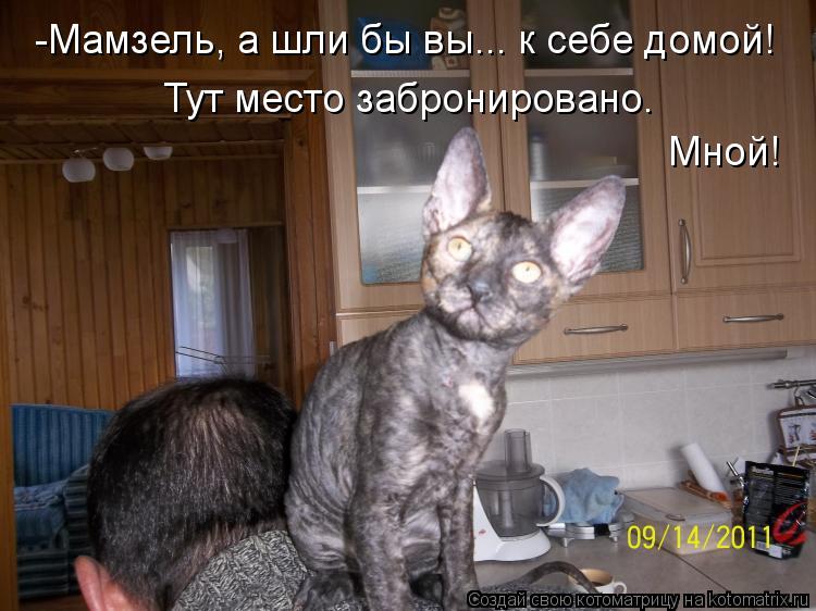 Котоматрица: -Мамзель, а шли бы вы... к себе домой! Тут место забронировано. Мной!