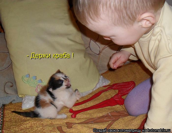 - Держи краба !... Котоматрица: - Держи краба !