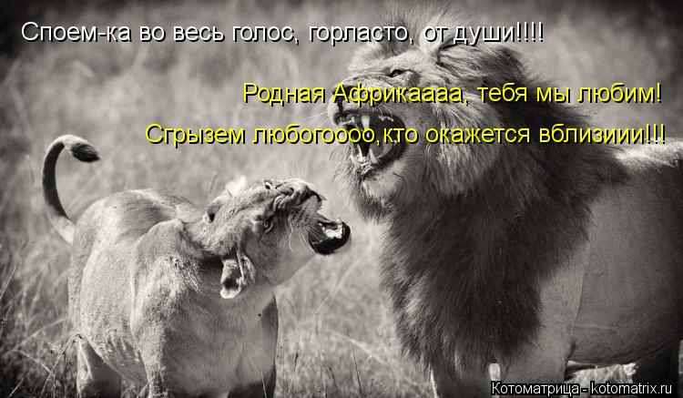 Споем-ка во весь голос, горласто, от души!!!! Родная Африкаааа, тебя мы любим! Сгрызем любогоооо,кто ... Котоматрица: Споем-ка во весь голос, горласто, от души!!!! Родная Африкаааа, тебя мы любим! Сгрызем любогоооо,кто окажется вблизиии!!!