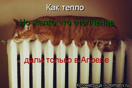 Как тепло Но жалко что отопление дали только в Апреле... Котоматрица: Как тепло Но жалко что отопление дали только в Апреле