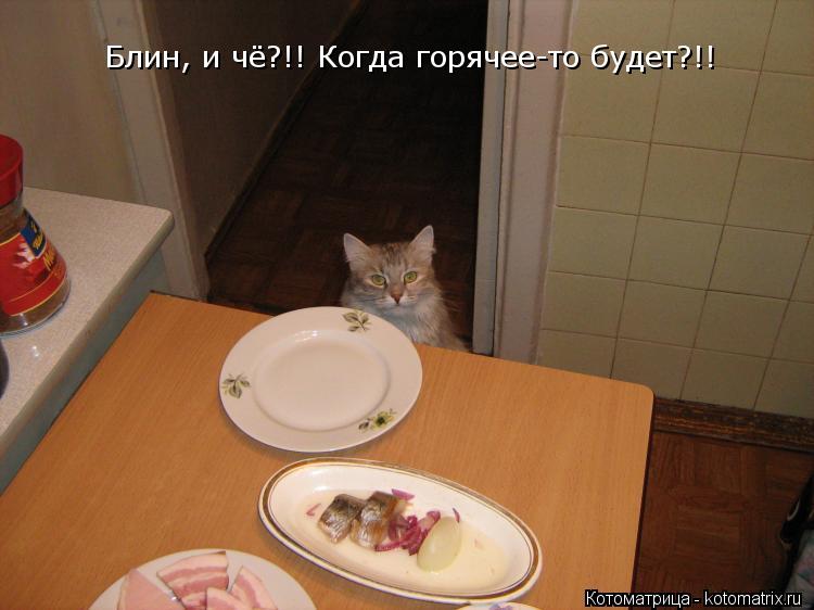 Блин, и чё?!! Когда горячее-то будет?!!... Котоматрица: Блин, и чё?!! Когда горячее-то будет?!!