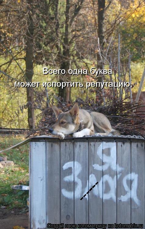 Всего одна буква может испортить репутацию. --- -----... Котоматрица: Всего одна буква может испортить репутацию. --- -----