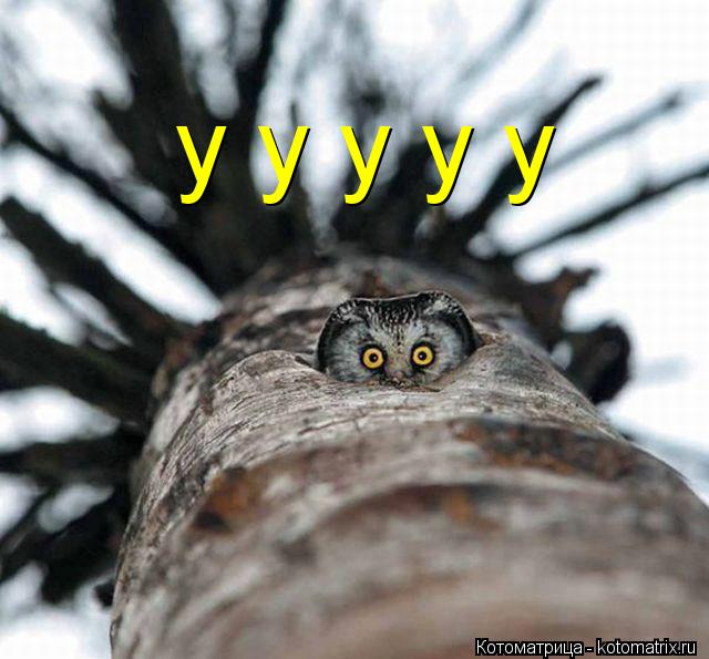 у у у у у... Котоматрица: у у у у у
