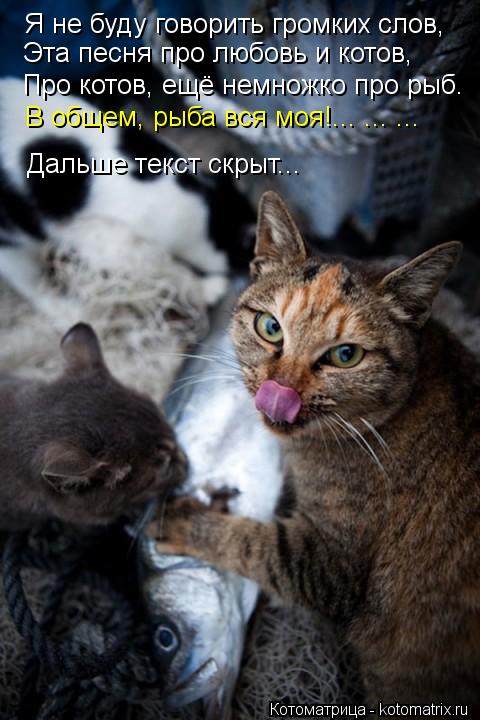 Я не буду говорить громких слов, Эта песня про любовь и котов, Про котов, ещё немножко про рыб. В общ... Котоматрица: Я не буду говорить громких слов, Эта песня про любовь и котов, Про котов, ещё немножко про рыб. В общем, рыба вся моя!... ... ... Дальше текст скрыт.