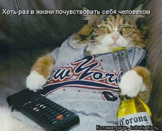 Хоть раз в жизни почувствовать себя человеком... Котоматрица: Хоть раз в жизни почувствовать себя человеком