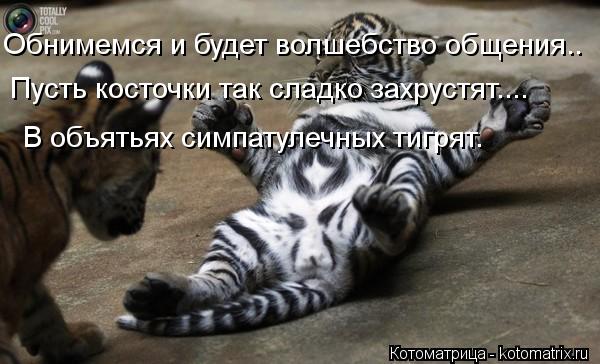 Обнимемся и будет волшебство общения.. Пусть косточки так сладко захрустят.... В объятьях симпатулечн... Котоматрица: Обнимемся и будет волшебство общения.. Пусть косточки так сладко захрустят.... В объятьях симпатулечных тигрят.