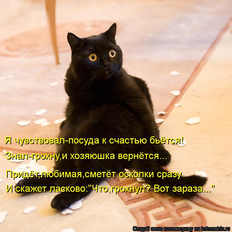 Котоматрица: Я чувствовал-посуда к счастью бьётся! Знал-грохну,и хозяюшка вернётся... И скажет ласково:"Что,грохнул? Вот зараза..." Придёт,любимая,сметёт ос