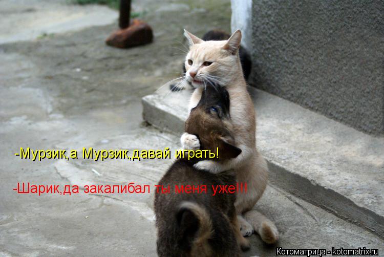 -Мурзик,а Мурзик,давай играть! -Шарик,да закалибал ты меня уже!!!... Котоматрица: -Мурзик,а Мурзик,давай играть! -Шарик,да закалибал ты меня уже!!!