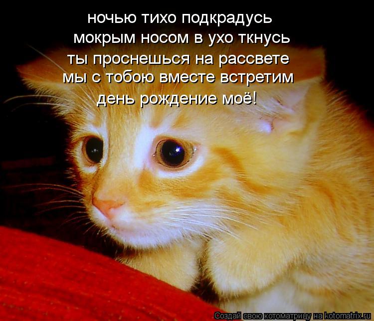 ночью тихо подкрадусь мокрым носом в ухо ткнусь мы с тобою вместе встретим день рождение моё! ты прос... Котоматрица: ночью тихо подкрадусь мокрым носом в ухо ткнусь мы с тобою вместе встретим день рождение моё! ты проснешься на рассвете