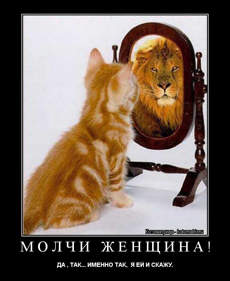 МОЛЧИ ЖЕНЩИНА! ДА , ТАК... ИМЕННО ТАК, Я ЕЙ И СКАЖУ.... Котоматрица: МОЛЧИ ЖЕНЩИНА! ДА , ТАК... ИМЕННО ТАК, Я ЕЙ И СКАЖУ.