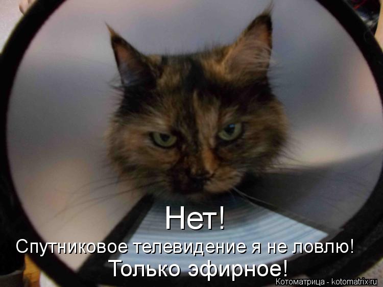 Котоматрица: Нет! Спутниковое телевидение я не ловлю!  Только эфирное!