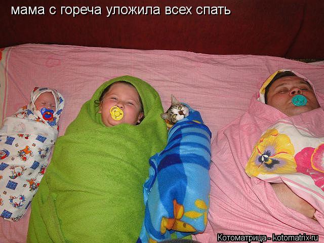 мама с гореча уложила всех спать... Котоматрица: мама с гореча уложила всех спать