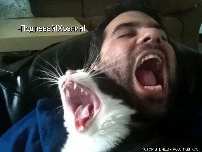 -Подпевай!Хозяин!... Котоматрица: -Подпевай!Хозяин!