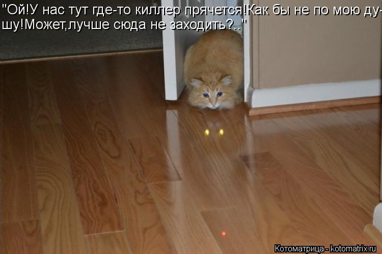 Котоматрица: "Ой!У нас тут где-то киллер прячется!Как бы не по мою ду- шу!Может,лучше сюда не заходить?.."