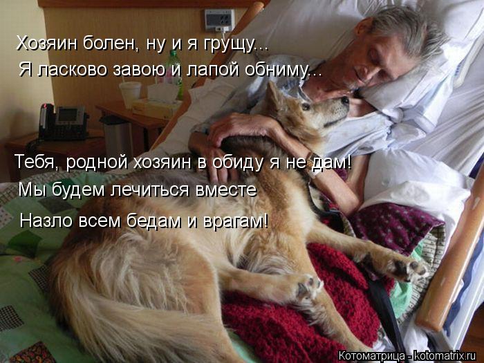 Хозяин болен, ну и я грущу... Я ласково завою и лапой обниму... Тебя, родной хозяин в обиду я не дам!... Котоматрица: Хозяин болен, ну и я грущу... Я ласково завою и лапой обниму... Тебя, родной хозяин в обиду я не дам! Мы будем лечиться вместе Назло всем бедам и