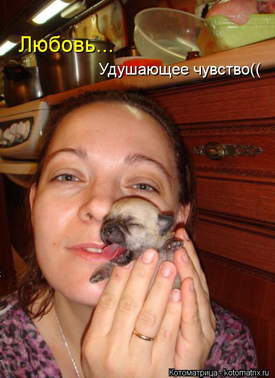 Любовь... Удушающее чувство((... Котоматрица: Любовь... Удушающее чувство((