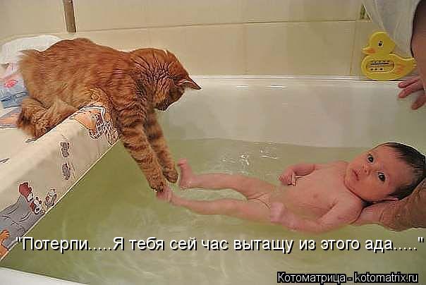 "Потерпи.....Я тебя сей час вытащу из этого ада....."... Котоматрица: "Потерпи.....Я тебя сей час вытащу из этого ада....."