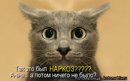 Так это был А-а-а... а потом ничего не было? НАРКОЗ?????... Котоматрица: Так это был А-а-а... а потом ничего не было? НАРКОЗ?????