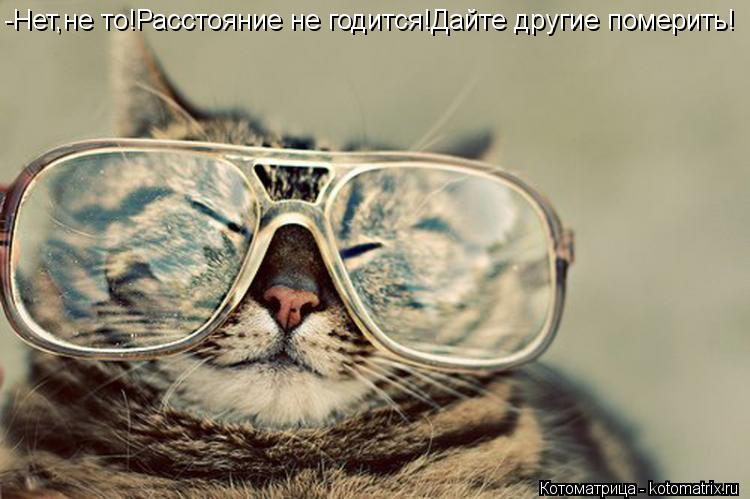 Котоматрица: -Нет,не то!Расстояние не годится!Дайте другие померить!