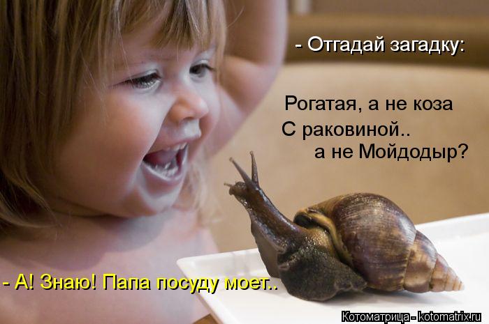 - Отгадай загадку: Рогатая, а не коза С раковиной.. а не Мойдодыр? - А! Знаю! Папа посуду моет..... Котоматрица: - Отгадай загадку: Рогатая, а не коза С раковиной.. а не Мойдодыр? - А! Знаю! Папа посуду моет..