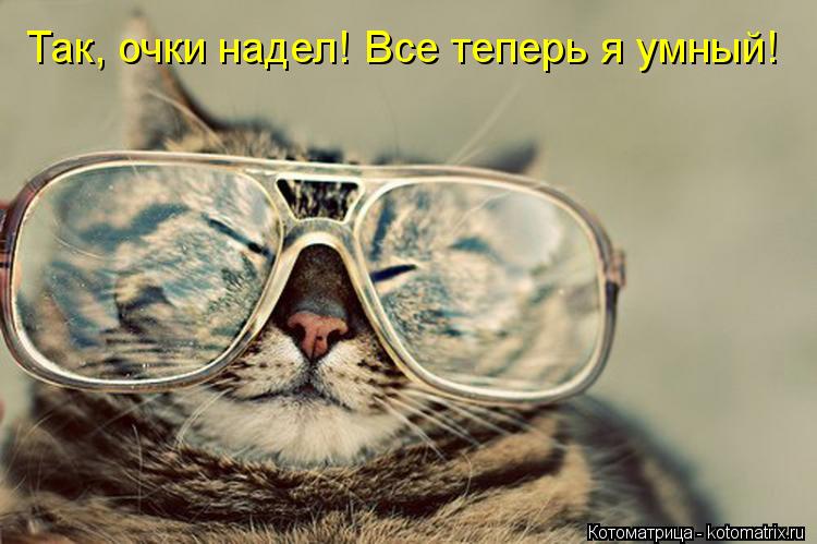 Так, очки надел! Все теперь я умный!... Котоматрица: Так, очки надел! Все теперь я умный!