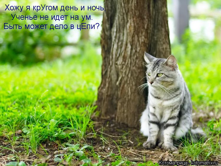 Хожу я крУгом день и ночь, Ученье не идет на ум. Быть может дело в цЕпи?... Котоматрица: Хожу я крУгом день и ночь, Ученье не идет на ум. Быть может дело в цЕпи?