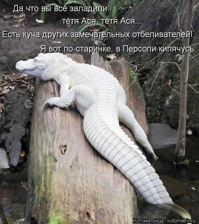 Да что вы все заладили: тётя Ася, тётя Ася... Есть куча других замечательных отбеливателей! Я вот по-... Котоматрица: Да что вы все заладили: тётя Ася, тётя Ася... Есть куча других замечательных отбеливателей! Я вот по-старинке, в Персоли кипячусь.