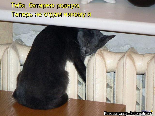 Тебя, батарею родную, Теперь не отдам никому я... Котоматрица: Тебя, батарею родную, Теперь не отдам никому я