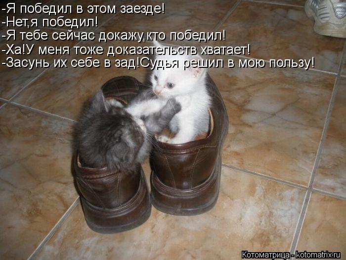 -Я победил в этом заезде! -Нет,я победил! -Я тебе сейчас докажу,кто победил! -Ха!У меня тоже доказате... Котоматрица: -Я победил в этом заезде! -Нет,я победил! -Я тебе сейчас докажу,кто победил! -Ха!У меня тоже доказательств хватает! -Засунь их себе в зад!Судья р