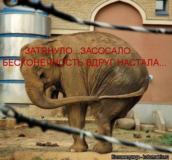 ЗАТЯНУЛО...ЗАСОСАЛО... БЕСКОНЕЧНОСТЬ ВДРУГ НАСТАЛА...... Котоматрица: ЗАТЯНУЛО...ЗАСОСАЛО... БЕСКОНЕЧНОСТЬ ВДРУГ НАСТАЛА...