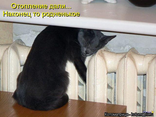 Отопление дали... Наконец то родненькое... Котоматрица: Отопление дали... Наконец то родненькое