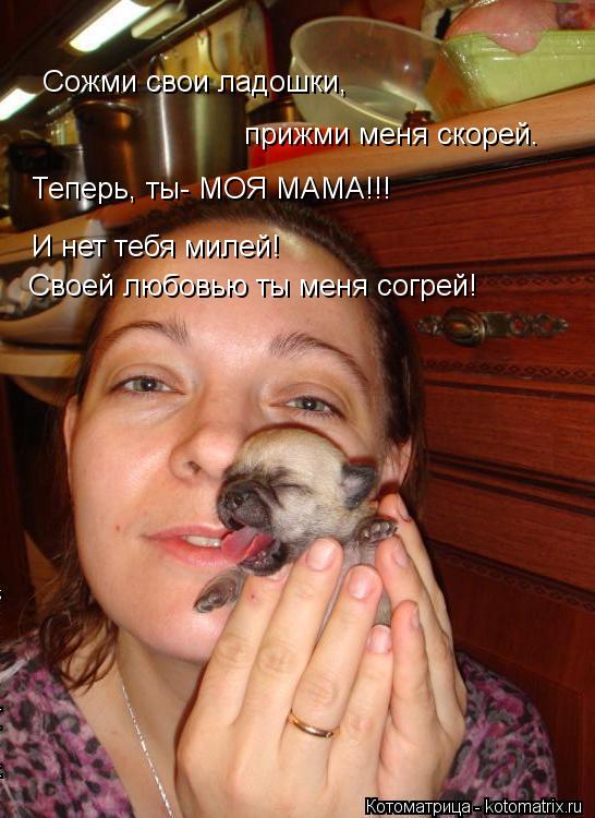 Сожми свои ладошки, прижми меня скорей. Теперь, ты- МОЯ МАМА!!! И нет тебя милей! Своей любовью ты ме... Котоматрица: Сожми свои ладошки, прижми меня скорей. Теперь, ты- МОЯ МАМА!!! И нет тебя милей! Своей любовью ты меня согрей!