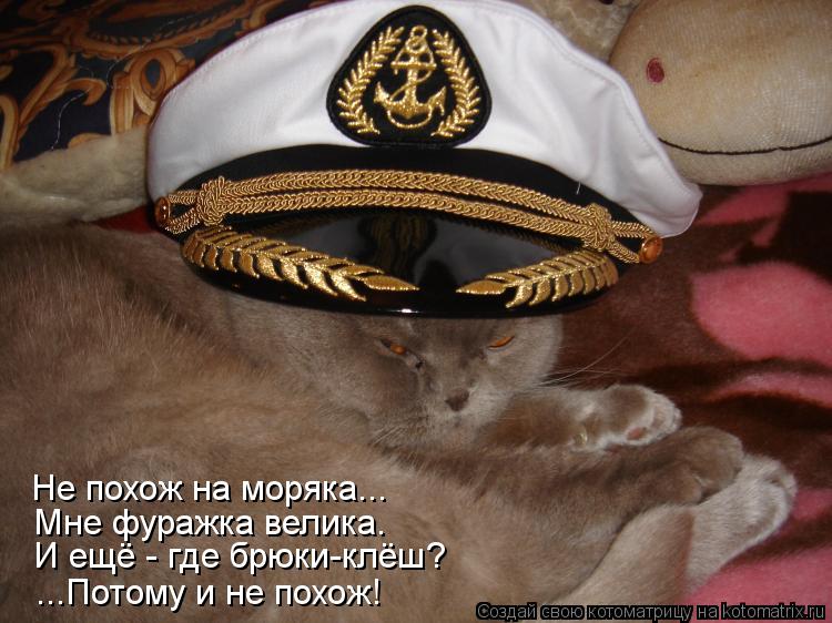 Не похож на моряка... Мне фуражка велика. И ещё - где брюки-клёш? ...Потому и не похож!... Котоматрица: Не похож на моряка... Мне фуражка велика. И ещё - где брюки-клёш? ...Потому и не похож!