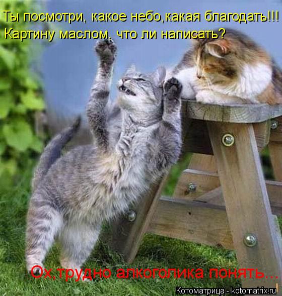 Ты посмотри, какое небо,какая благодать!!! Картину маслом, что ли написать? Ох,трудно алкоголика поня... Котоматрица: Ты посмотри, какое небо,какая благодать!!! Картину маслом, что ли написать? Ох,трудно алкоголика понять...