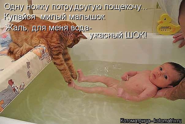 Одну ножку потру,другую пощекочу... Купайся милый малышок Жаль, для меня вода- ужасный ШОК!... Котоматрица: Одну ножку потру,другую пощекочу... Купайся милый малышок Жаль, для меня вода- ужасный ШОК!