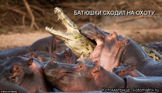 Котоматрица: БАТЮШКИ,СХОДИЛ НА ОХОТУ...