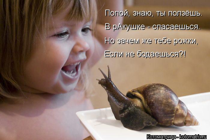 Попой, знаю, ты ползёшь. Попой, знаю, ты ползёшь. В рАкушке - спасаешься. Но зачем же тебе рожки, Ес... Котоматрица: Попой, знаю, ты ползёшь. Попой, знаю, ты ползёшь. В рАкушке - спасаешься. Но зачем же тебе рожки, Если не бодаешься?!