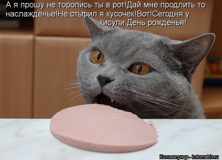 наслажденье!Не стырил я кусочек!Вот!Сегодня у А я прошу не торопись ты в рот!Дай мне продлить то кису... Котоматрица: наслажденье!Не стырил я кусочек!Вот!Сегодня у А я прошу не торопись ты в рот!Дай мне продлить то кисули День рожденья!