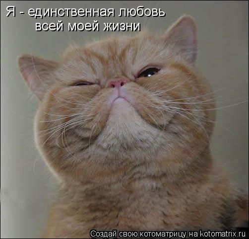 Я - единственная любовь всей моей жизни... Котоматрица: Я - единственная любовь всей моей жизни