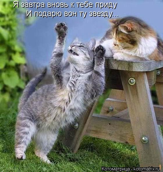 Я завтра вновь к тебе приду И подарю вон ту звезду...... Котоматрица: Я завтра вновь к тебе приду И подарю вон ту звезду...