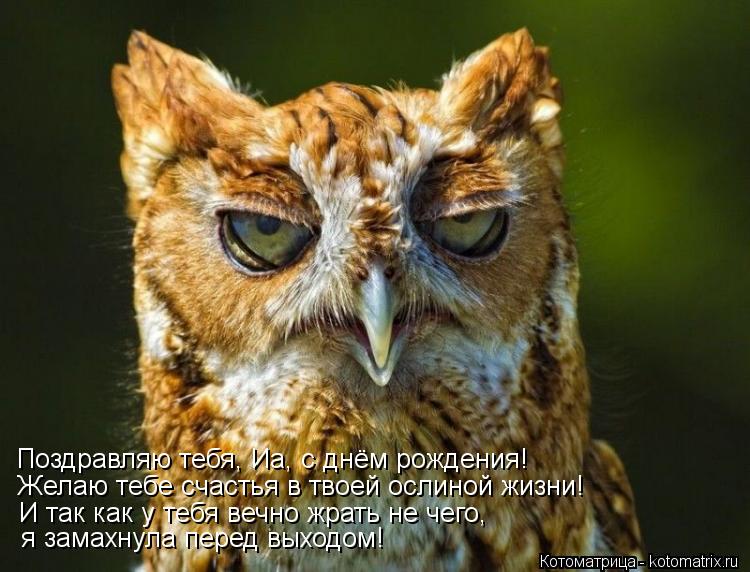 Поздравляю тебя, Иа, с днём рождения! Желаю тебе счастья в твоей ослиной жизни! И так как у тебя вечн... Котоматрица: Поздравляю тебя, Иа, с днём рождения! Желаю тебе счастья в твоей ослиной жизни! И так как у тебя вечно жрать не чего, я замахнула перед выходо