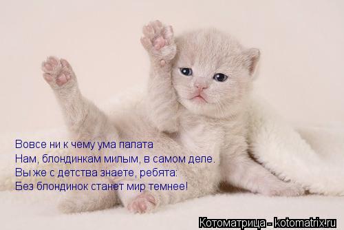 Вовсе ни к чему ума палата Нам, блондинкам милым, в самом деле. Вы же с детства знаете, ребята: Без б... Котоматрица: Вовсе ни к чему ума палата Нам, блондинкам милым, в самом деле. Вы же с детства знаете, ребята: Без блондинок станет мир темнее!