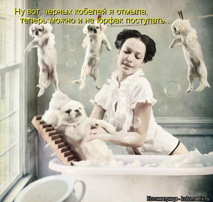 Ну вот, черных кобелей я отмыла, теперь можно и на юрфак поступать...... Котоматрица: Ну вот, черных кобелей я отмыла, теперь можно и на юрфак поступать...