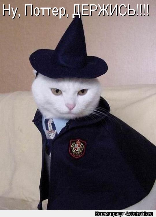Ну, Поттер, ДЕРЖИСЬ!!!!... Котоматрица: Ну, Поттер, ДЕРЖИСЬ!!!!