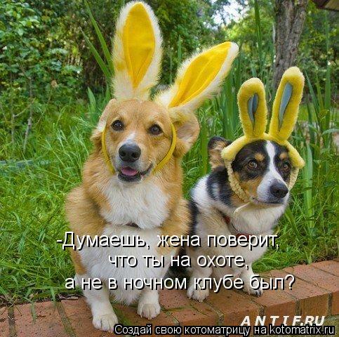 -Думаешь, жена поверит, что ты на охоте, а не в ночном клубе был?... Котоматрица: -Думаешь, жена поверит, что ты на охоте, а не в ночном клубе был?