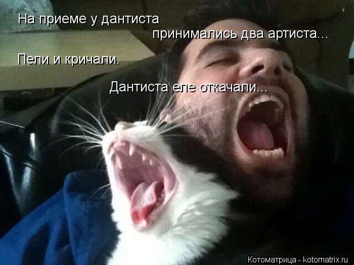 На приеме у дантиста принимались два артиста... Пели и кричали. Дантиста еле откачали...... Котоматрица: На приеме у дантиста принимались два артиста... Пели и кричали. Дантиста еле откачали...